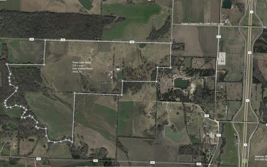 275+/- Acre Working Cattle Ranch